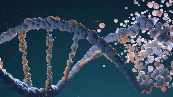 Render of DNA double-helix breaking up