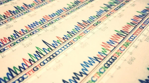 Gene sequences