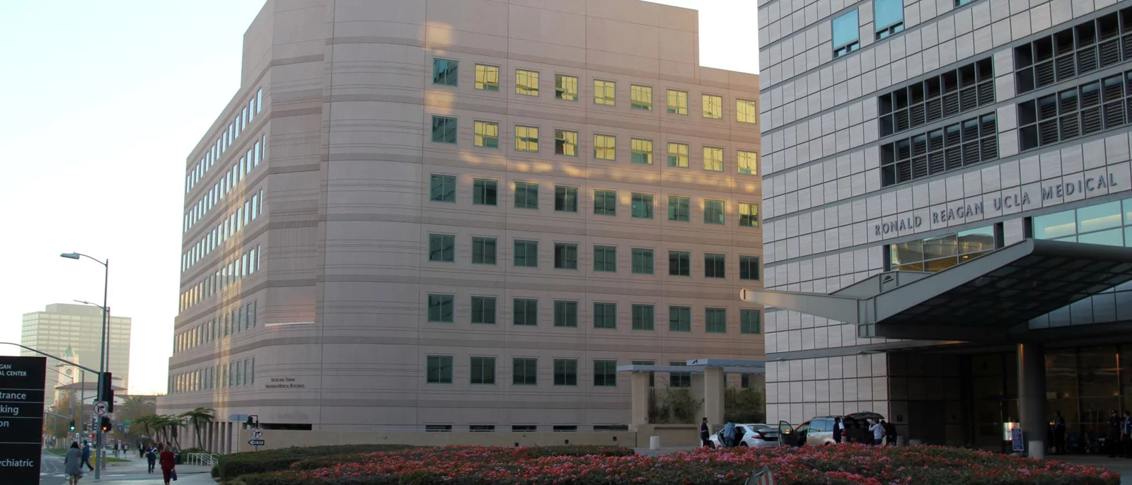 Building view